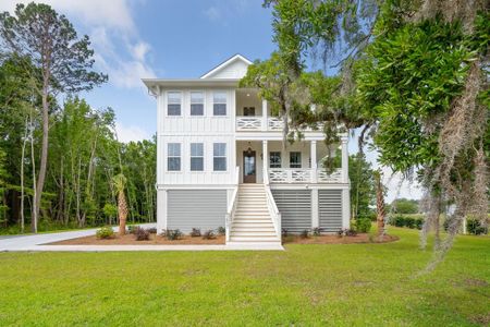 New construction Single-Family house 1074 Capersview Court, Awendaw, SC 29429 Nelson- photo 0