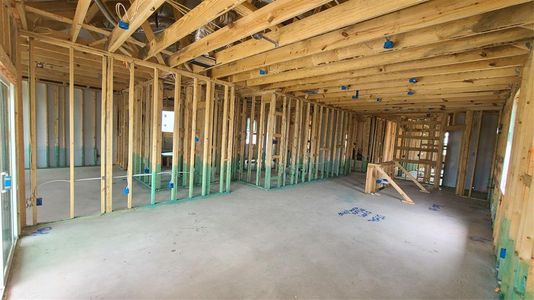 New construction Single-Family house 919 Pinyon Pine Pass, Hutto, TX 78634 Livingston- photo 17 17