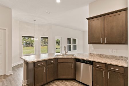 New construction Single-Family house 7089 Sw 179Th Court Rd, Dunnellon, FL 34432 2265- photo 11 11