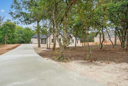 New construction Single-Family house 816 Lindenwood Lane, Springtown, TX 76082 - photo 1 1