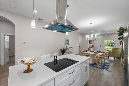 New construction Single-Family house 907 Plaza Street, Clearwater, FL 33755 - photo 19 19