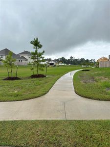 New construction Single-Family house 23151 Grosse Point Drive, Tomball, TX 77375 - photo 27 27