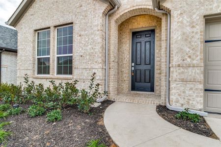 New construction Single-Family house 1213 Lavinola Lane, Anna, TX 75409 - photo 1 1