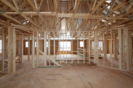 New construction Single-Family house 9611 Crescent Ray Drive, Wesley Chapel, FL 33545 Dali- photo 19 19