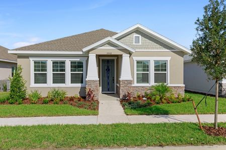 Persimmon Park - Cottage Series by David Weekley Homes in Wesley Chapel - photo 10 10