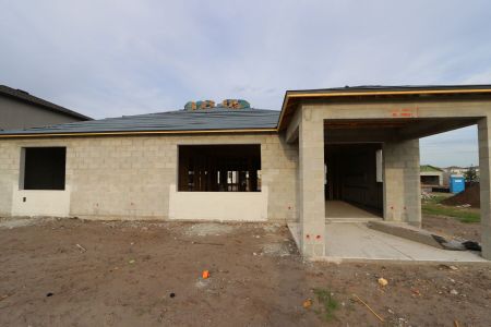 New construction Single-Family house 2941 Marine Grass Drive, Wimauma, FL 33598 Barcello- photo 12 12