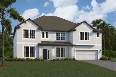 New construction Single-Family house Grandsail  III, 10805 Rolling Moss Road, Tampa, FL 33647 - photo