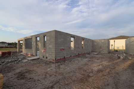 New construction Single-Family house 3156 Marine Grass Drive, Wimauma, FL 33598 Mira Lago- photo 7 7