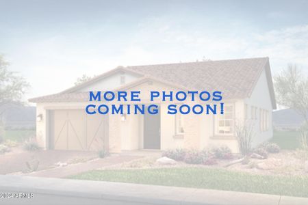 New construction Single-Family house 21268 E Macaw Drive, Queen Creek, AZ 85142 - photo 2 2