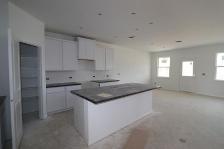 New construction Single-Family house 523 Diorite Cv, Liberty Hill, TX 78642 Frio- photo 4 4