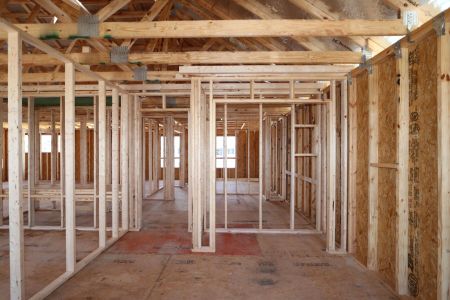 New construction Single-Family house 31852 Sapna Chime Drive, Wesley Chapel, FL 33545 Renau- photo 27 27