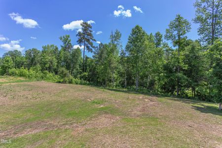 New construction Single-Family house 95 Harvest View Way, Franklinton, NC 27525 - photo 76 76