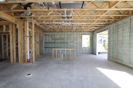 New construction Single-Family house 2463 Sunny Pebble Loop, Zephyrhills, FL 33540 Castellana- photo 30 30