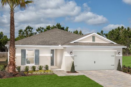 New construction Single-Family house Morningside Dr., Leesburg, FL 34788 - photo 8 8