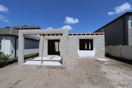 New construction Single-Family house 2958 Misty Marble Drive, Zephyrhills, FL 33540 Castellana- photo 5 5