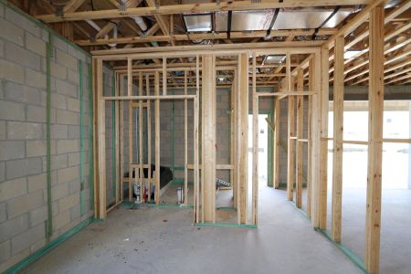 New construction Single-Family house 31823 Sapna Chime Drive, Wesley Chapel, FL 33545 Mira Lago- photo 36 36