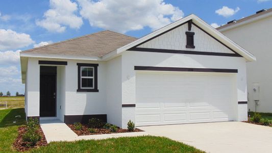 New construction Single-Family house 3182 Canopy Oak Boulevard, Wildwood, FL 34785 - photo 0 0