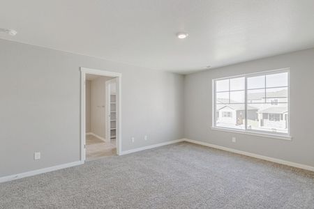 New construction Single-Family house 1944 Knobby Pine Dr, Fort Collins, CO 80528 ELDER II- photo 15 15