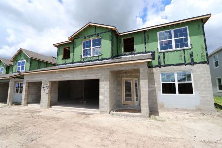 New construction Single-Family house 9635 Crescent Ray Drive, Wesley Chapel, FL 33545 Mira Lago- photo 47 47