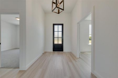 Entryway featuring light wood-type flooring and a wealth of natural light