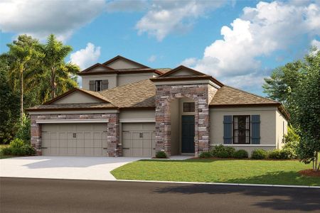 New construction Single-Family house 13147 Twin Bridges Drive, Riverview, FL 33579 - photo 0