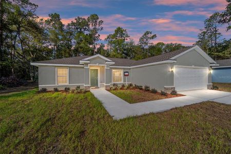 New construction Single-Family house 871 W Madison Place, Citrus Springs, FL 34434 - photo 1 1