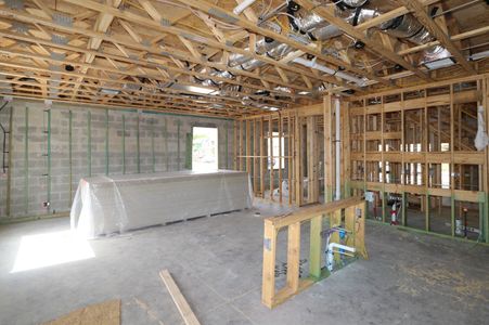 New construction Single-Family house 2463 Sunny Pebble Loop, Zephyrhills, FL 33540 Castellana- photo 26 26
