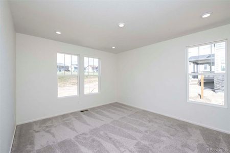 New construction Single-Family house 1853 Water Birch Way, Castle Rock, CO 80108 - photo 6 6