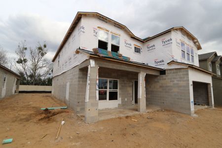New construction Single-Family house 12114 Hilltop Farms Drive, Dade City, FL 33525 Alenza- photo 58 58