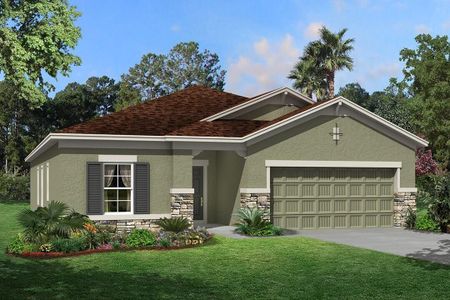 New construction Single-Family house Madeira II, 10805 Rolling Moss Road, Tampa, FL 33647 - photo