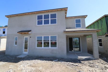 New construction Single-Family house 32521 Sapna Chime Drive, Wesley Chapel, FL 33545 Mira Lago- photo 31 31