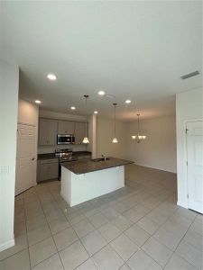 New construction Single-Family house 3138 Amaranth Street, Tavares, FL 32778 - photo