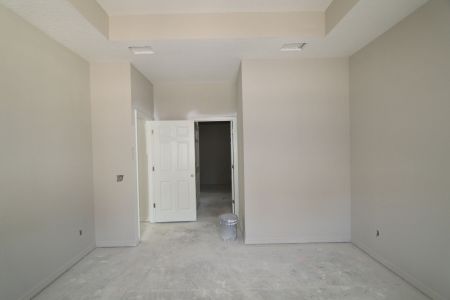 New construction Single-Family house 2868 Misty Marble Drive, Zephyrhills, FL 33540 Herrera- photo 83 83