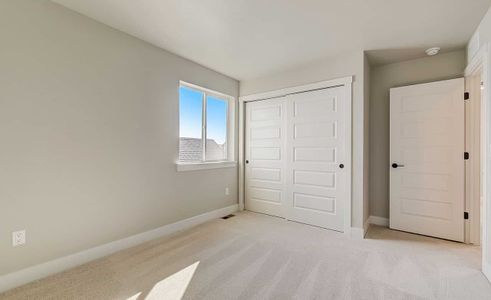 New construction Multi-Family house 5962 Rendezvous Pkwy, Timnath, CO 80547 Garden Series - Rosemary- photo 11 11