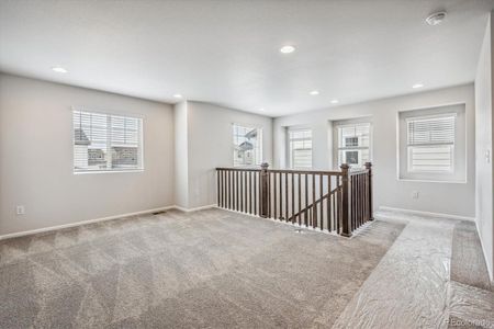 New construction Single-Family house 2608 Colony Court, Erie, CO 80026 Coral II - photo 7 7