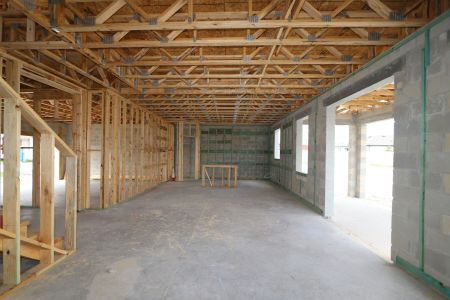 New construction Single-Family house 9358 Crescent Ray Drive, Wesley Chapel, FL 33545 Renau- photo 11 11