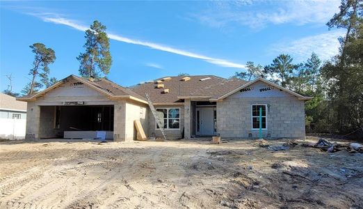 New construction Single-Family house 3388 Sw 165Th Loop, Ocala, FL 34473 - photo 23 23