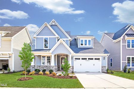 New construction Single-Family house 9008 Dupree Meadow, Unit 48, Angier, NC 27501 - photo 38 38