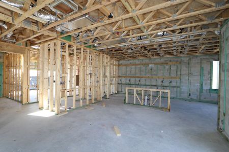 New construction Single-Family house 5254 Currant Street, Lakeland, FL 33811 Marina- photo 24 24
