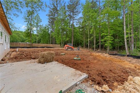 New construction Single-Family house 65 Water Oak Trail, Covington, GA 30014 - photo 18 18
