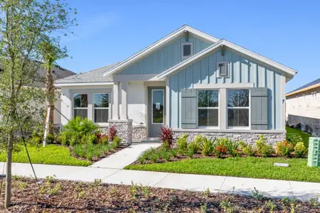 Persimmon Park - Cottage Series by David Weekley Homes in Wesley Chapel - photo 8 8
