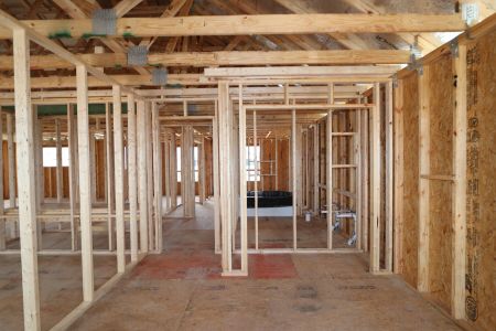 New construction Single-Family house 31852 Sapna Chime Drive, Wesley Chapel, FL 33545 Renau- photo 22 22