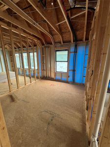New construction Single-Family house 21518 Sand Fringepod Way, Cypress, TX 77433 Newton- photo 16 16