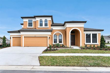 New construction Single-Family house 5238 Wolf Creek Drive, Apollo Beach, FL 33572 - photo 0