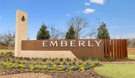 Emberly by Davidson Homes LLC in Beasley - photo 0