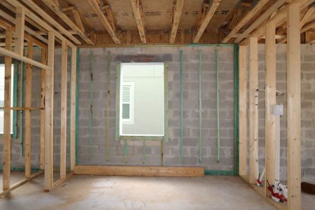 New construction Single-Family house 2852 Misty Marble Drive, Zephyrhills, FL 33540 Castellana- photo 24 24