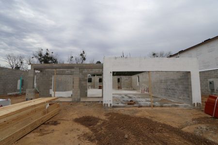 New construction Single-Family house 12114 Hilltop Farms Drive, Dade City, FL 33525 Alenza- photo 18 18