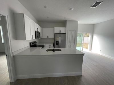 New construction Single-Family house 26 Fisher Trail Terrace, Ocklawaha, FL 32179 - photo 3 3