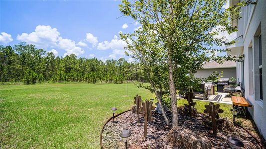 New construction Single-Family house 1105 Pacific Dunes Court, Daytona Beach, FL 32124 - photo 37 37