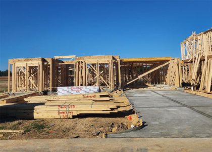 New construction Single-Family house 217 Peninsula Point Drive, Montgomery, TX 77356 Lauren- photo 1 1